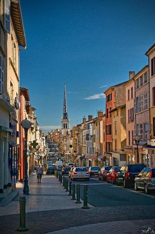 Le Cosy Shelby Proche Gare 150M Apartment Villefranche-sur-Saone Luaran gambar